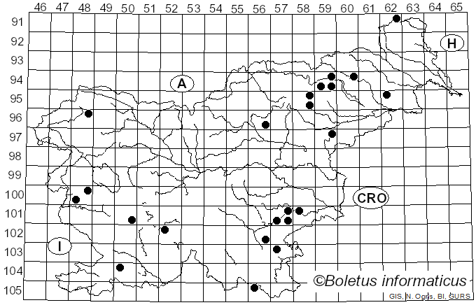 <i>Cyanosporus</i> McGinty (1909)