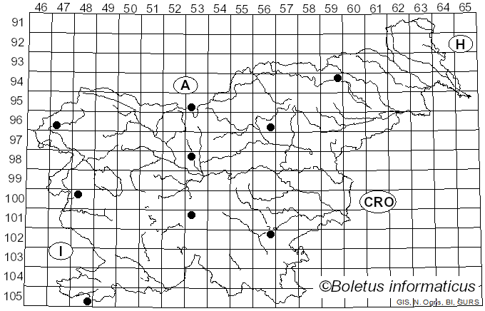 <i>Lulesia popinalis</i> (Fr.) T.J. Baroni, B.E. Lechner & N. Niveiro (2023)