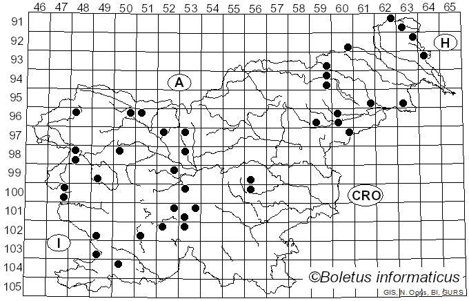 <i>Diatrype stigma</i> (Hoffm.) Fr. (1849)