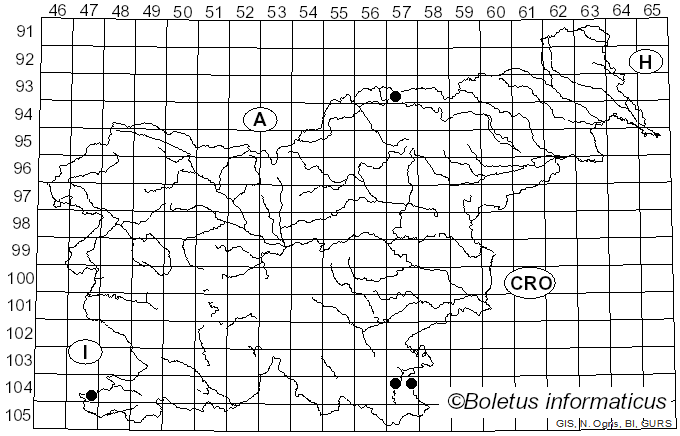 <i>Dioryctria sylvestrella</i> Ratzeburg