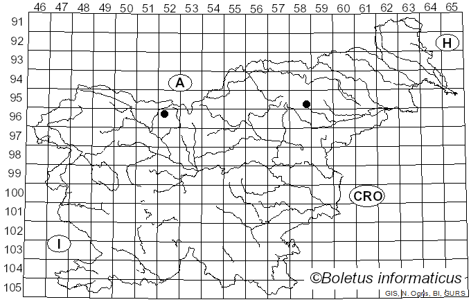 <i>Cortinarius fulvescens</i> Fr. (1838)