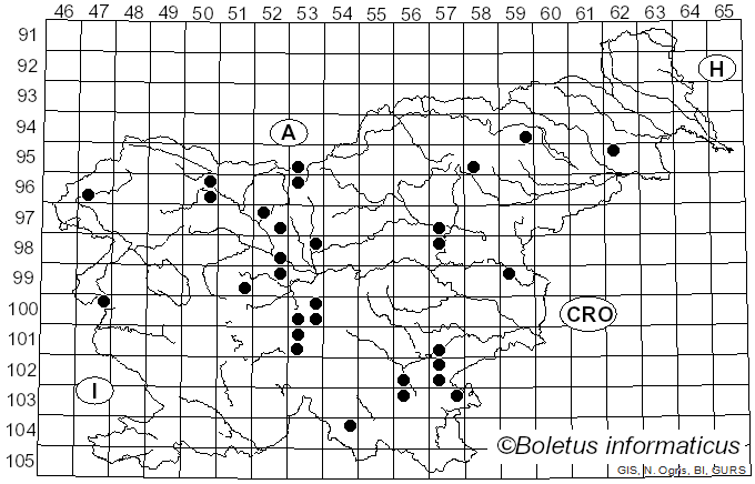 <i>Chamaemyces fracidus</i> (Fr.) Donk (1962)
