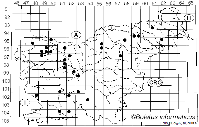<i>Lactarius badiosanguineus</i> Kühner & Romagn. (1954)