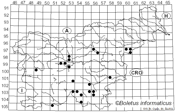 <i>Hirschioporus</i> Donk (1933)