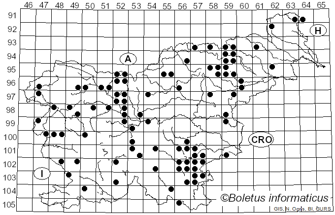 <i>Imleria</i> Vizzini (2014)
