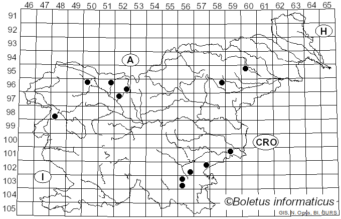 <i>Neogyromitra parma</i> (J. Breitenb. & Maas Geest.) Dirks, Methven & A.N. Mill. (2025)
