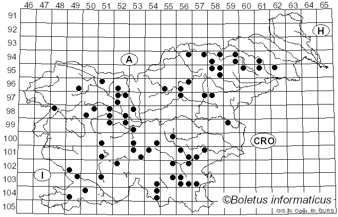 <i>Ischnoderma benzoinum</i> (Wahlenb.) P. Karst. (1881)