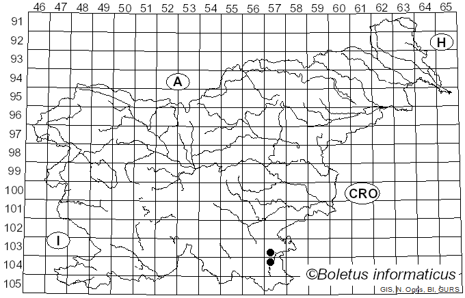 <i>Botryotinia fuckeliana</i> (de Bary) Whetzel (1945)