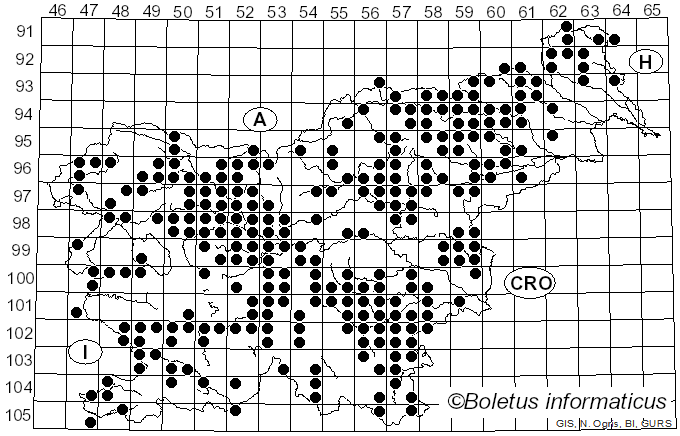 <i>Lycoperdon perlatum</i> Pers. (1796)
