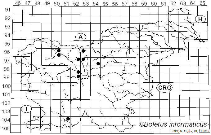 <i>Heterosphaeria patella</i> (Tode) Grev. (1824)