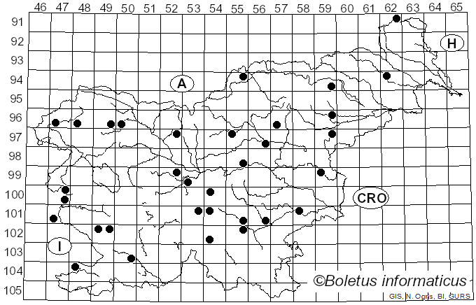 <i>Entoloma chalybeum</i> (Pers.) Noordel. (1982)