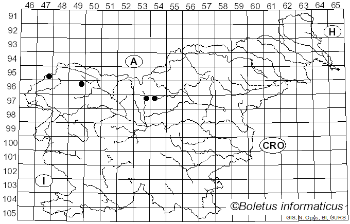 <i>Lepidoderma</i> de Bary (1873)