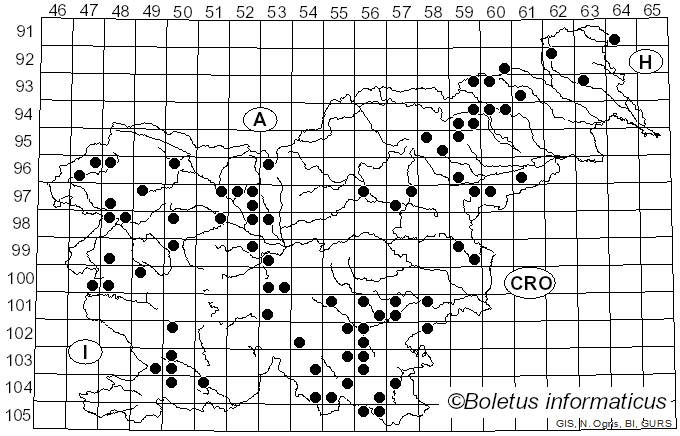 <i>Plicaturopsis crispa</i> (Pers.) D.A. Reid (1964)