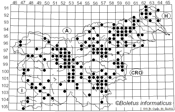 <i>Lactarius chrysorrheus</i> Fr. (1838)