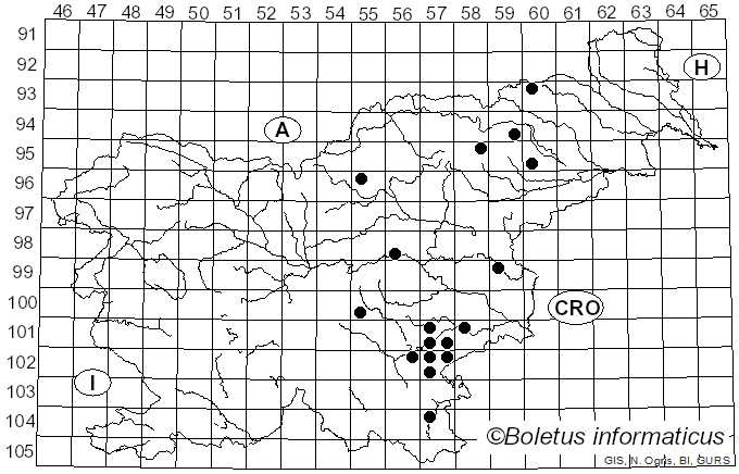 <i>Russula sphagnophila</i> Kauffman (1909)