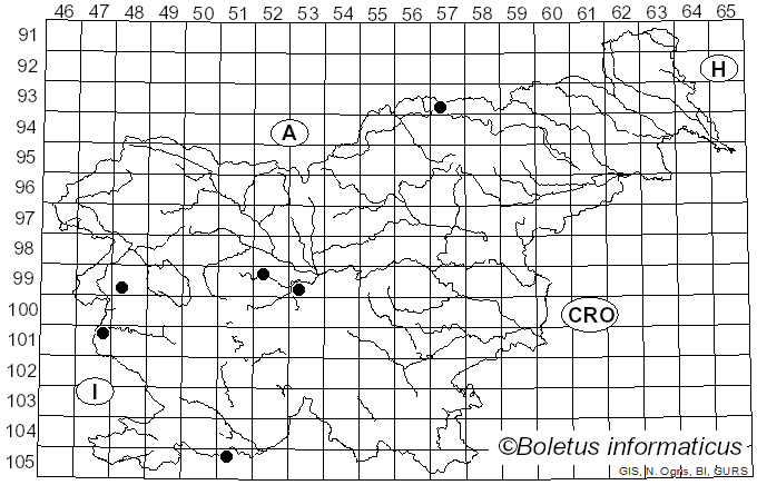 <i>Tomicus minor</i> Hartig (1834)
