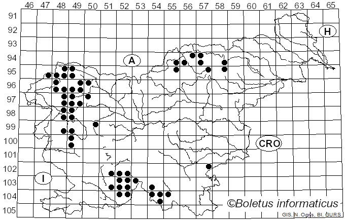 <i>Arthonia</i> Ach. (1806)