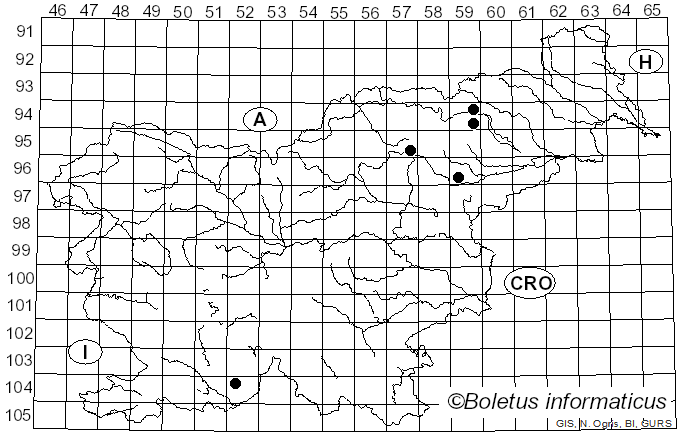 <i>Inocybe posterula</i> (Britzelm.) Sacc. (1887)
