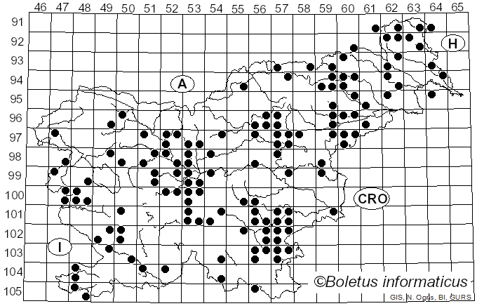 <i>Pleurotus ostreatus</i> (Jacq.) Quél. (1871)