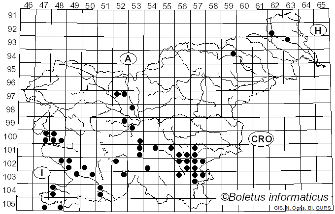 <i>Hygrophorus persoonii</i> Arnolds (1979)