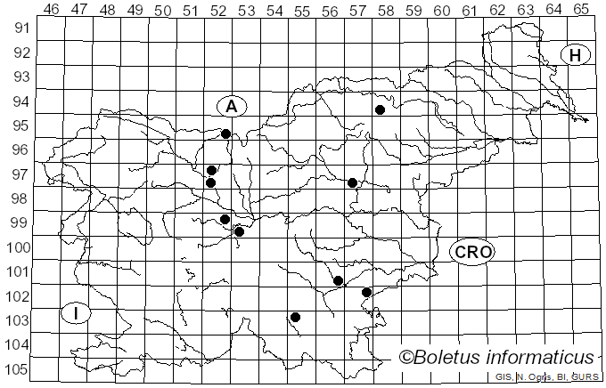 <i>Buchwaldoboletus lignicola</i> (Kallenb.) Pilát (1969)