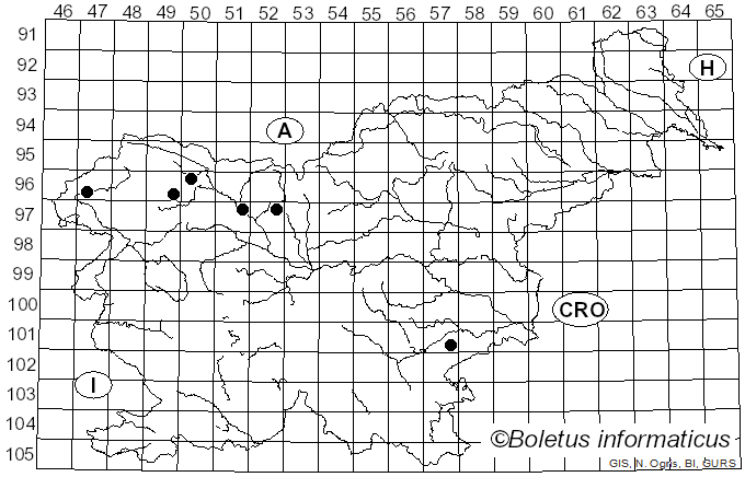 <i>Lachnellula resinaria</i> (Cooke & W. Phillips) Rehm (1893)