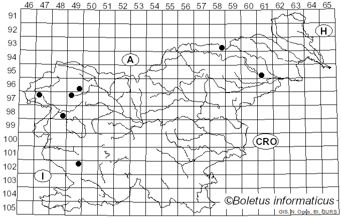 <i>Hygrocybe reidii</i> Kühner (1976)