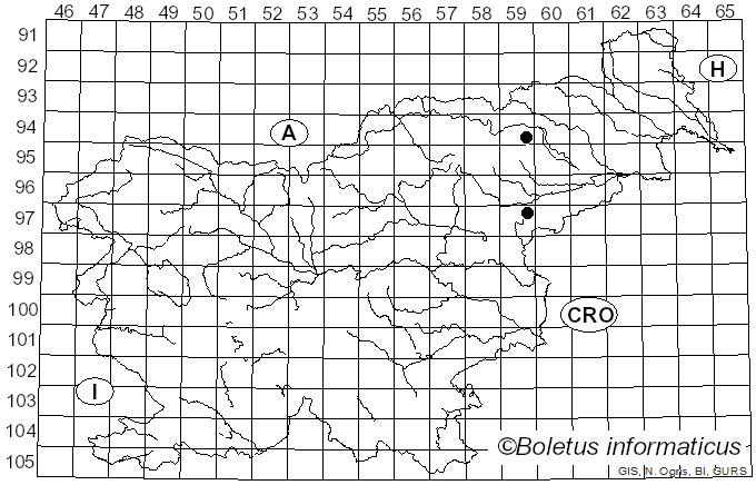 <i>Inocybe arenicola</i> (R. Heim) Bon (1983)