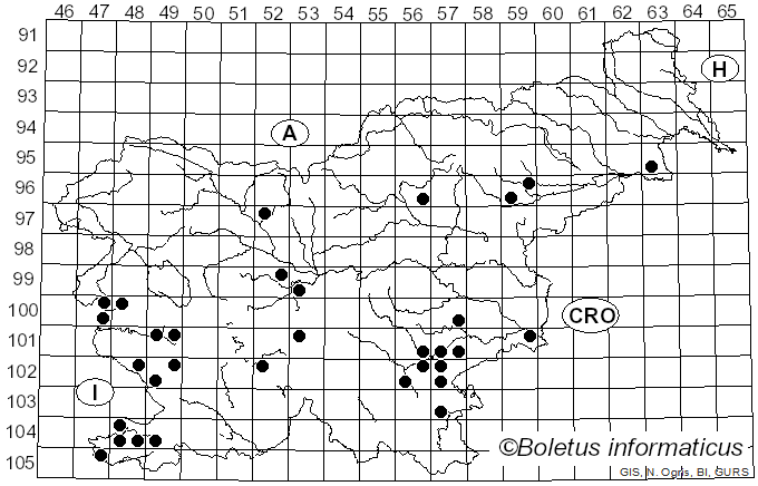 <i>Cyclocybe cylindracea</i> (DC.) Vizzini & Angelini (2014)