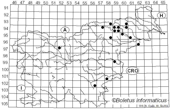 <i>Cortinarius crassifolius</i> (Velen.) Kühner & Romagn. ex Bon (1986)