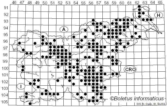 <i>Russula rosea</i> Pers. (1796)