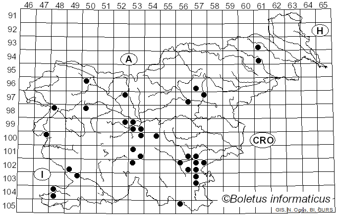<i>Tricholoma sulphurescens</i> Bres. (1905)
