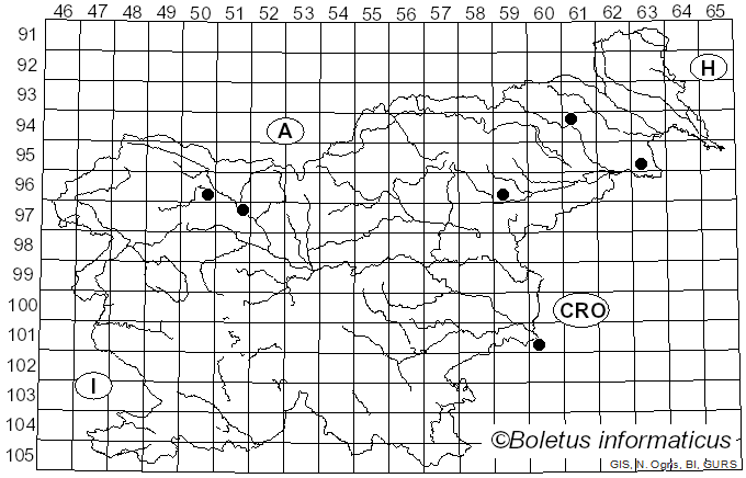 <i>Hyphodontia pallidula</i> (Bres.) J. Erikss. (1958)