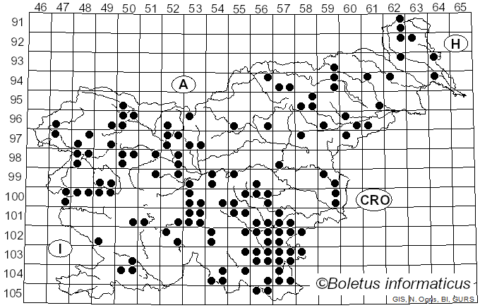 <i>Chlorociboria aeruginascens</i> (Nyl.) Kanouse ex C.S. Ramamurthi, Korf & L.R. Batra (1958)