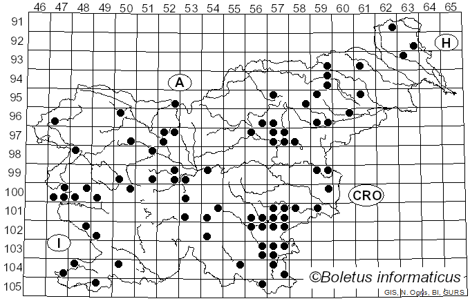 <i>Abortiporus biennis</i> (Bull.) Singer (1944)