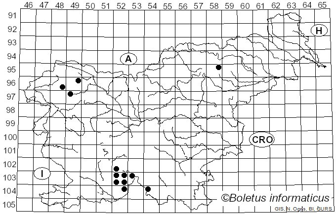 <i>Megalaria laureri</i> (Hepp ex Th. Fr.) Hafellner (1993)