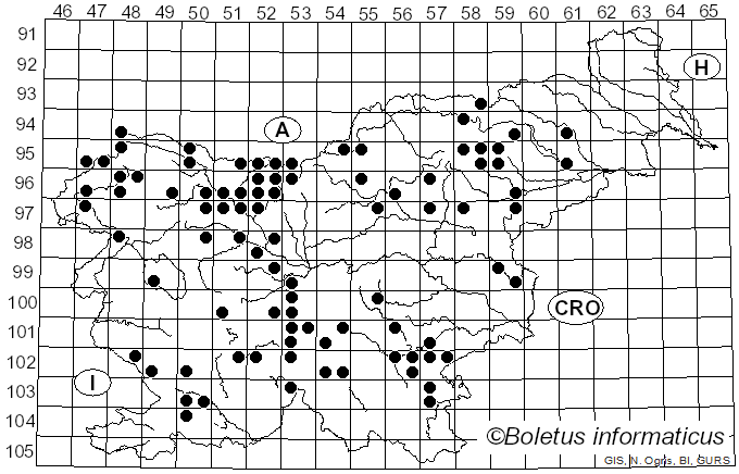 <i>Guepinia</i> Fr. (1825)