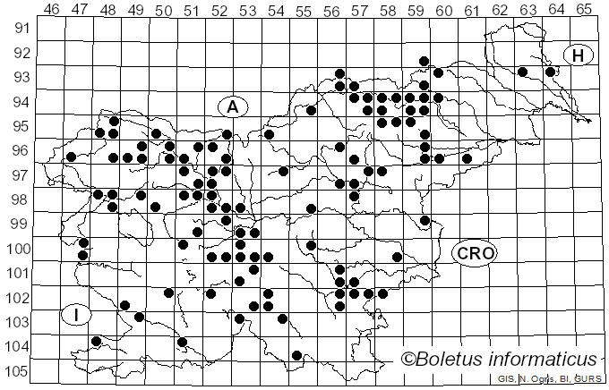 <i>Suillus viscidus</i> (L.) Fr. (1796)