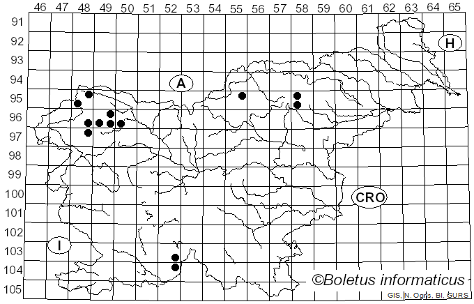 <i>Ochrolechia alboflavescens</i> (Wulfen) Zahlbr. (1927)