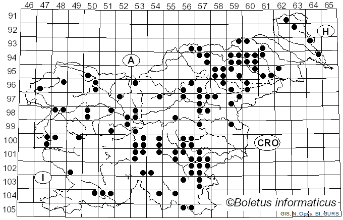 <i>Panus conchatus</i> (Bull.) Fr. (1838)