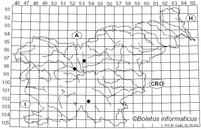 <i>Rhodotus palmatus</i> (Bull.) Maire (1926)