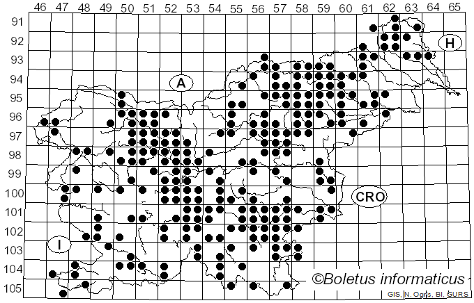 <i>Lactifluus vellereus</i> (Fr.) Kuntze (1891)
