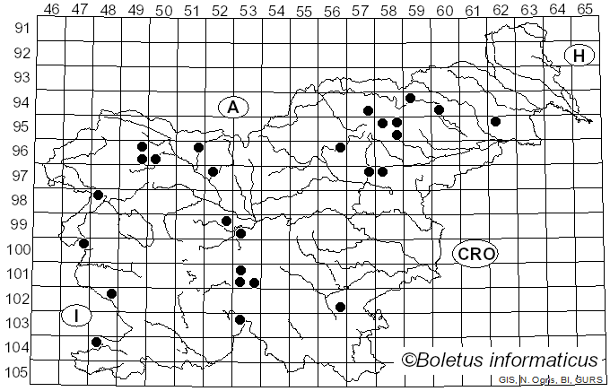 <i>Lactarius albocarneus</i> Britzelm. (1895)