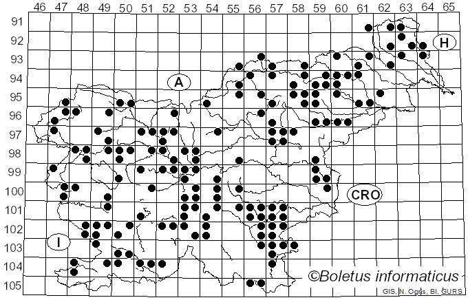 <i>Lycoperdon excipuliforme</i> (Scop.) Pers. (1801)