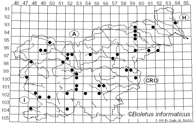 <i>Calonarius elegantior</i> (Fr.) Niskanen & Liimat. (2022)