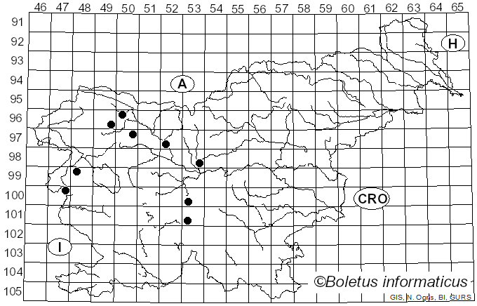 <i>Lactarius intermedius</i> Krombh. ex Berk. & Broome (1881)