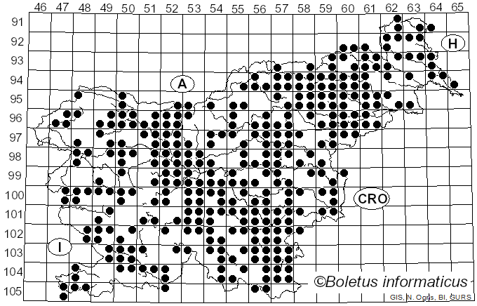 <i>Pluteus</i> Fr. (1836)