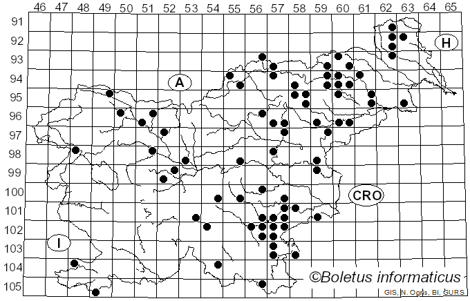 <i>Cantharellus pallens</i> Pilát (1959)
