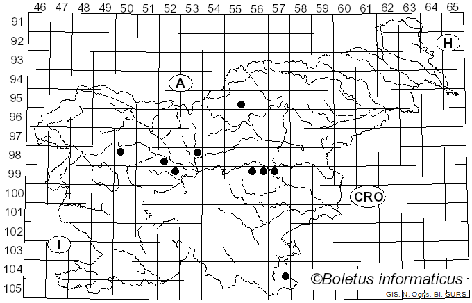 <i>Petrakia echinata</i> (Peglion) Syd. & P. Syd. (1913)