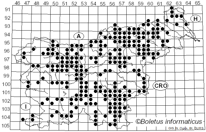 <i>Calocera viscosa</i> (Pers.) Fr. (1821)